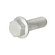 ZESKANTBORGBOUT M12X1,5X35-10.9